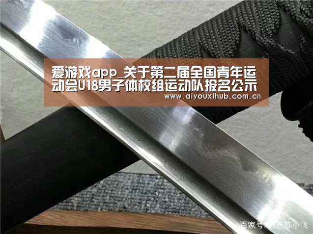 爱游戏app_关于第二届全国青年运动会U18男子体校组运动队报名公示的通知(图1) 爱游戏app