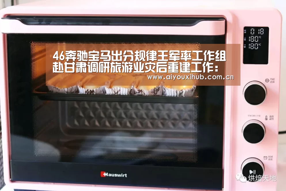 46奔驰宝马出分规律王军率工作组赴甘肃调研旅游业灾后重建工作:爱游戏(图2) 爱游戏官网
