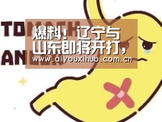 爆料!辽宁与山东即将开打,离揭幕战还有10天的时间|爱游戏app(图1) 爱游戏官网