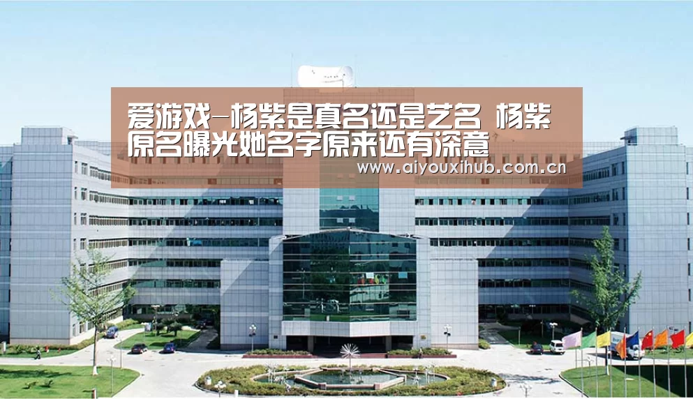 爱游戏官网