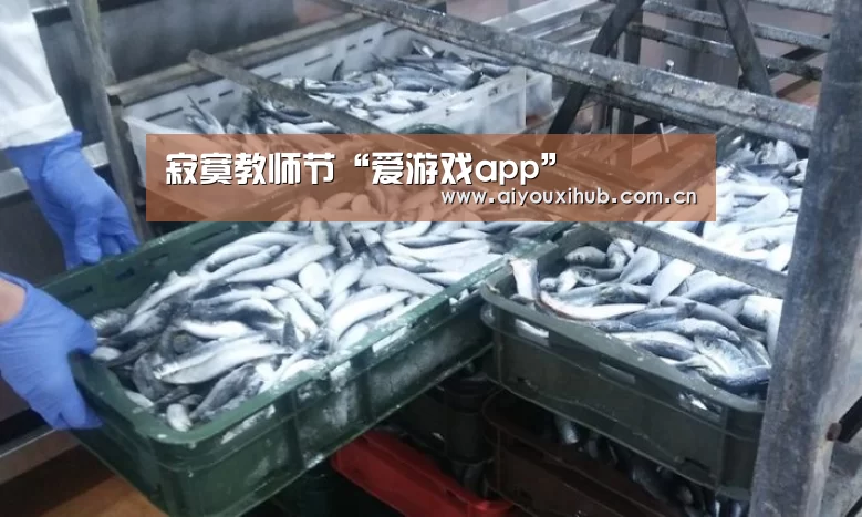 寂寞教师节“爱游戏app”(图1) 爱游戏app