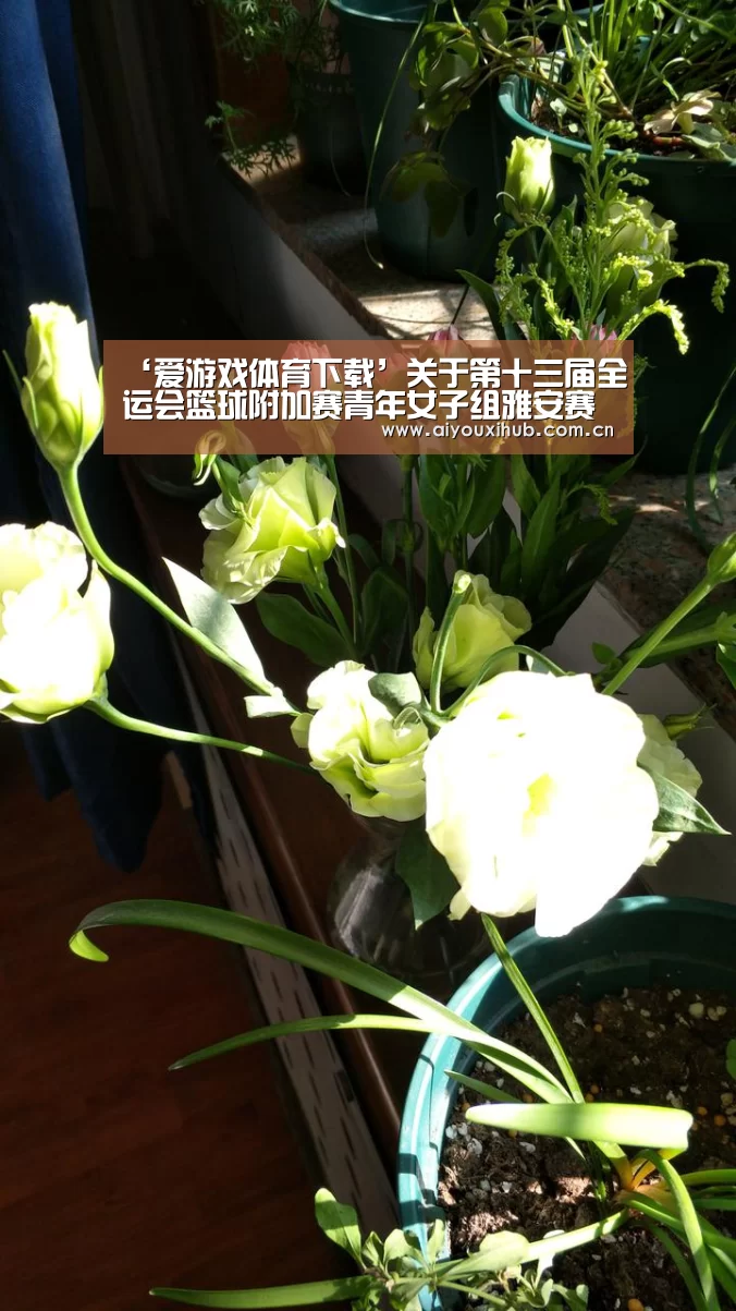 ‘爱游戏体育下载’关于第十三届全运会篮球附加赛青年女子组雅安赛区的补充通知(图3) 爱游戏app