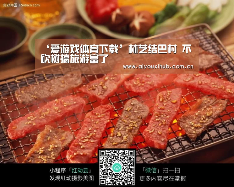 ‘爱游戏体育下载’林芝结巴村 不砍树搞旅游富了(图1) 爱游戏官网